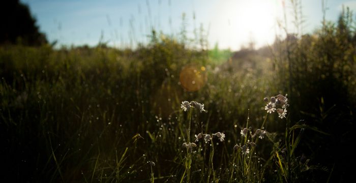 fisiese wetenskap graad 11 vraestelle - fisiese wetenskappe studiegids graad 11 archive